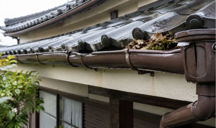 雨樋の不具合を放置すると住宅にどんな影響が出る?